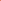 Rust Cotton Pant